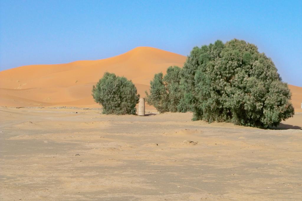 Kasbah Tamariste Bed and Breakfast Merzouga Eksteriør billede