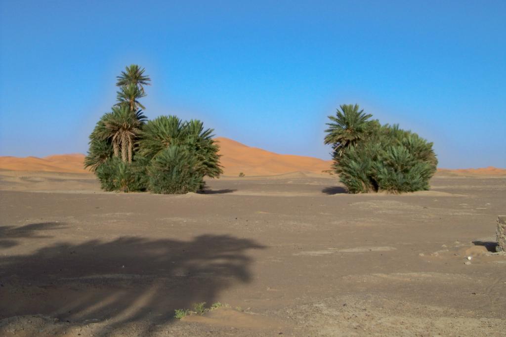 Kasbah Tamariste Bed and Breakfast Merzouga Eksteriør billede